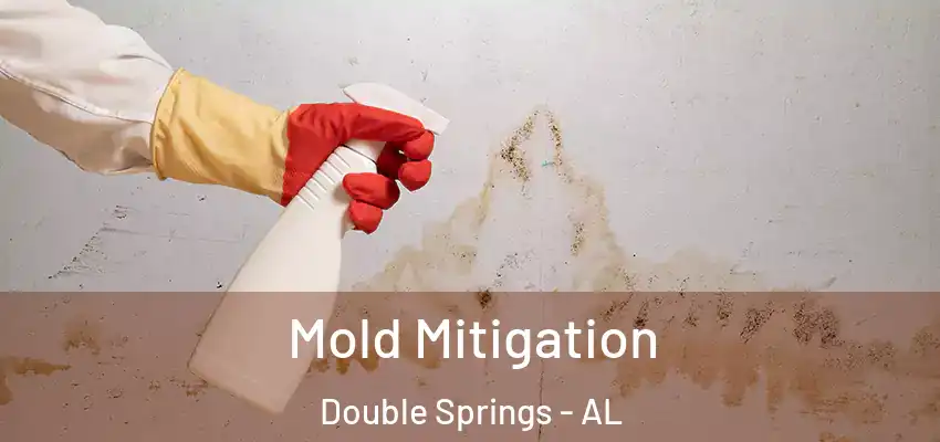 Mold Mitigation Double Springs - AL