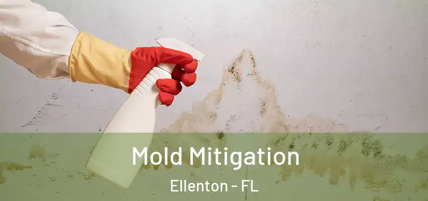  Mold Mitigation Ellenton - FL