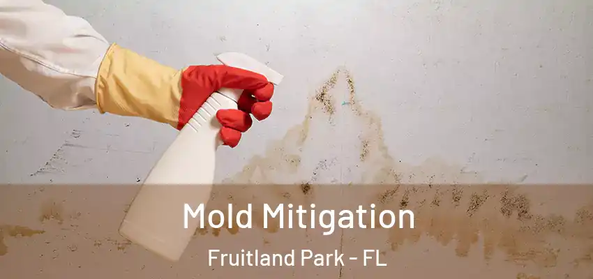  Mold Mitigation Fruitland Park - FL