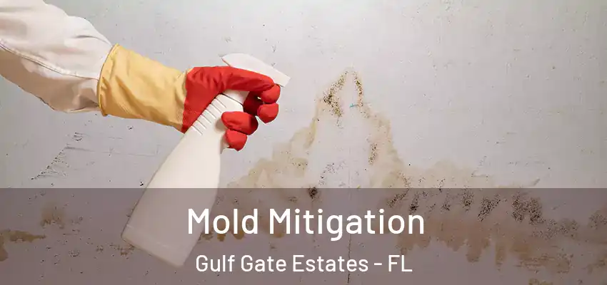  Mold Mitigation Gulf Gate Estates - FL
