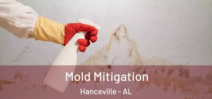 Mold Mitigation Hanceville - AL