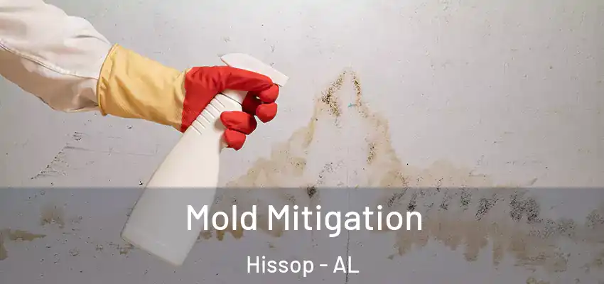  Mold Mitigation Hissop - AL