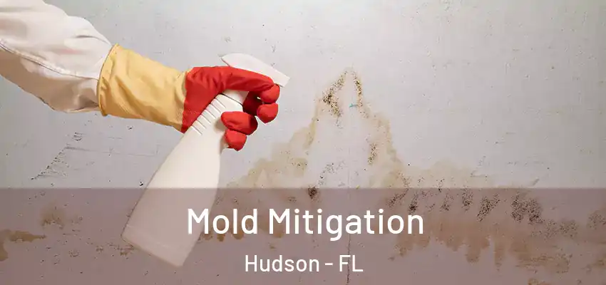  Mold Mitigation Hudson - FL