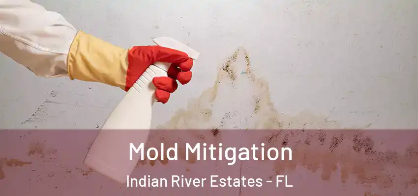  Mold Mitigation Indian River Estates - FL