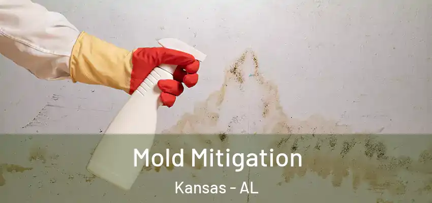 Mold Mitigation Kansas - AL