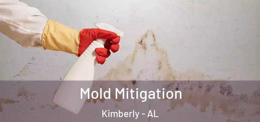  Mold Mitigation Kimberly - AL