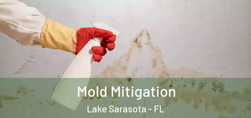  Mold Mitigation Lake Sarasota - FL
