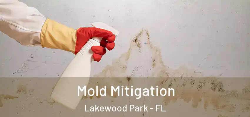  Mold Mitigation Lakewood Park - FL