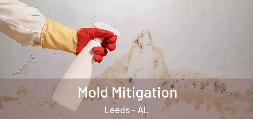  Mold Mitigation Leeds - AL