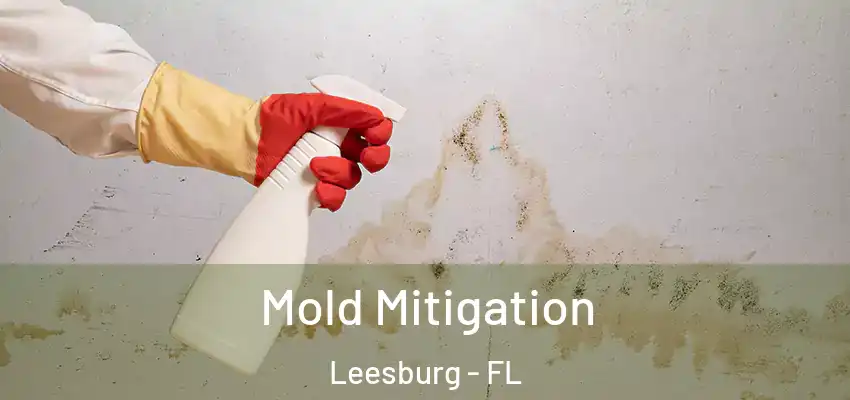  Mold Mitigation Leesburg - FL