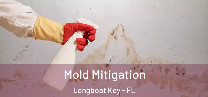  Mold Mitigation Longboat Key - FL