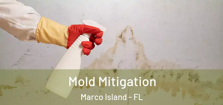  Mold Mitigation Marco Island - FL