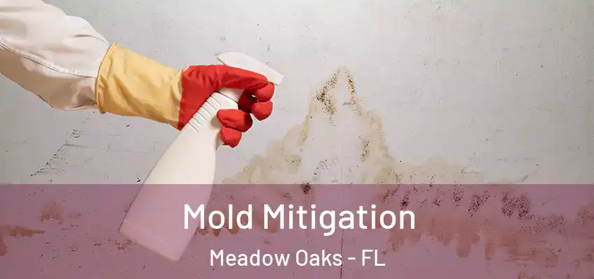 Mold Mitigation Meadow Oaks - FL