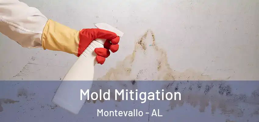  Mold Mitigation Montevallo - AL