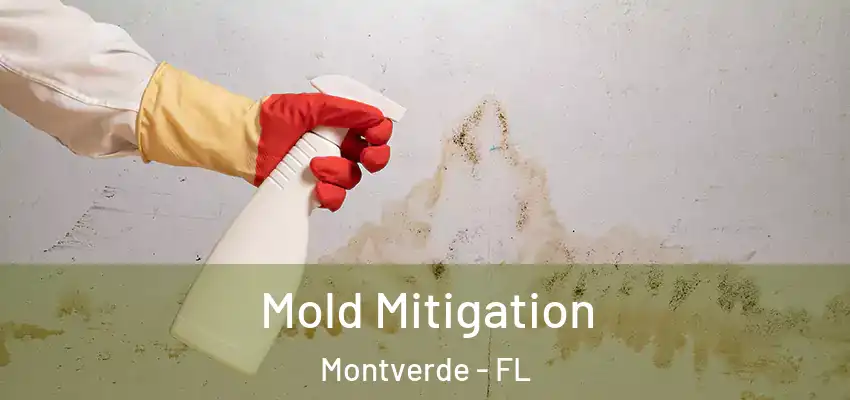  Mold Mitigation Montverde - FL