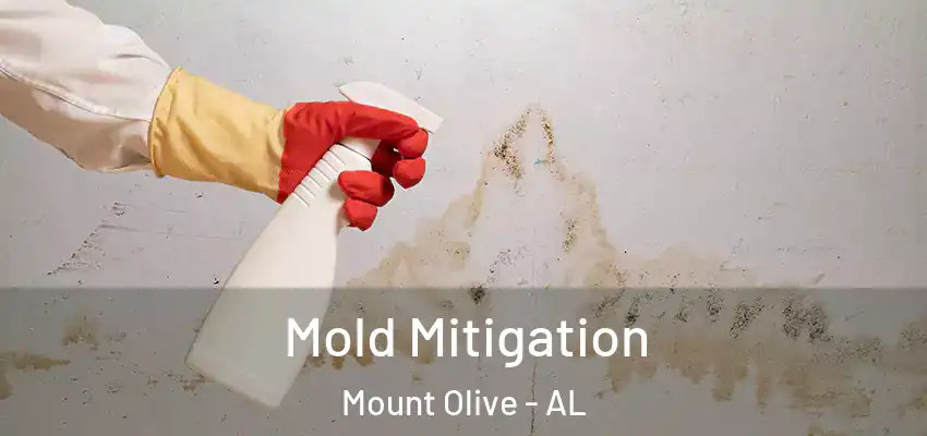  Mold Mitigation Mount Olive - AL