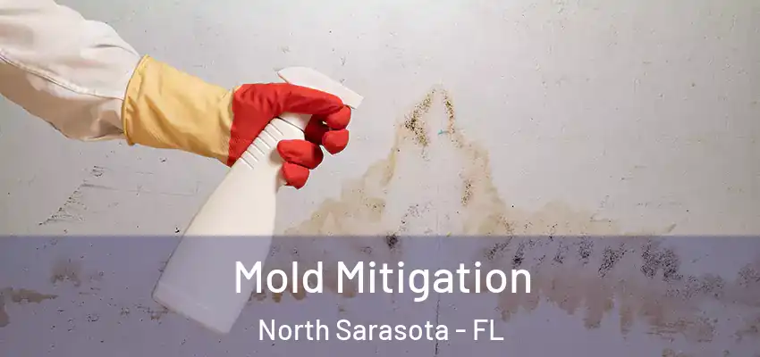  Mold Mitigation North Sarasota - FL