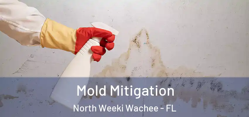 Mold Mitigation North Weeki Wachee - FL