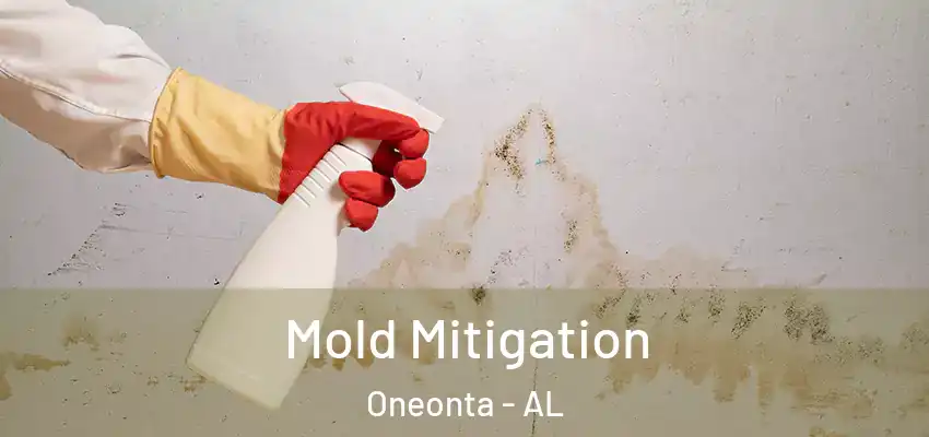  Mold Mitigation Oneonta - AL