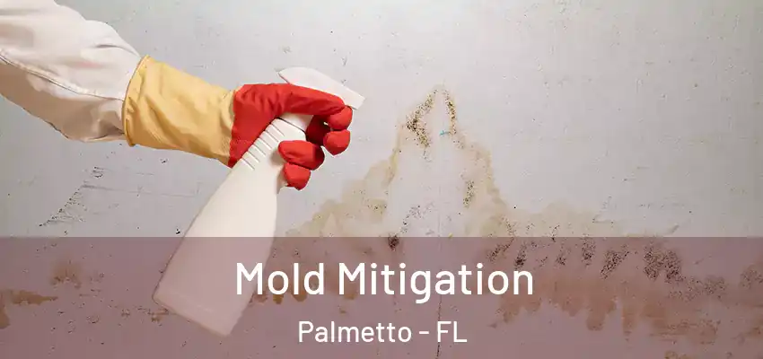  Mold Mitigation Palmetto - FL