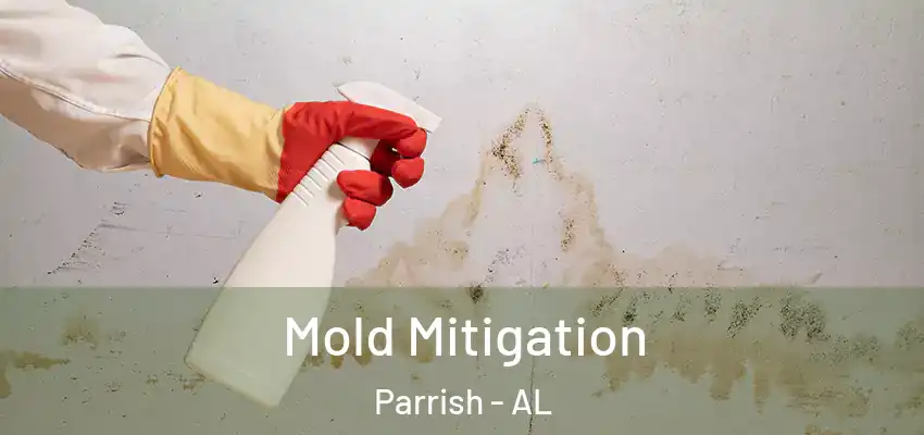  Mold Mitigation Parrish - AL