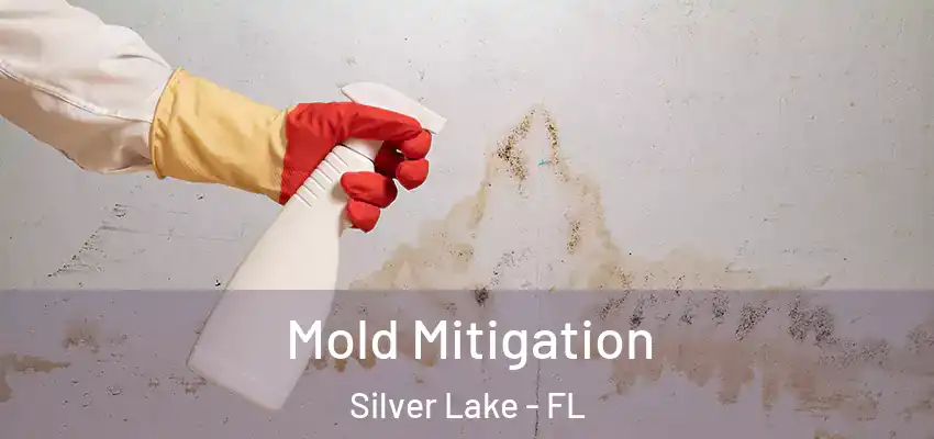  Mold Mitigation Silver Lake - FL