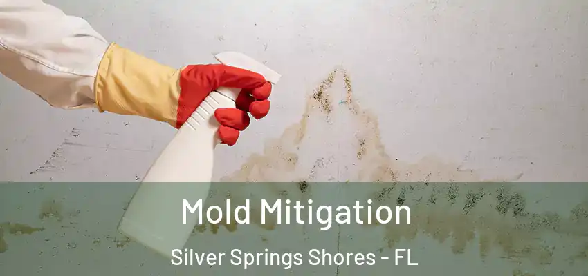  Mold Mitigation Silver Springs Shores - FL
