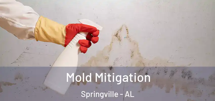  Mold Mitigation Springville - AL