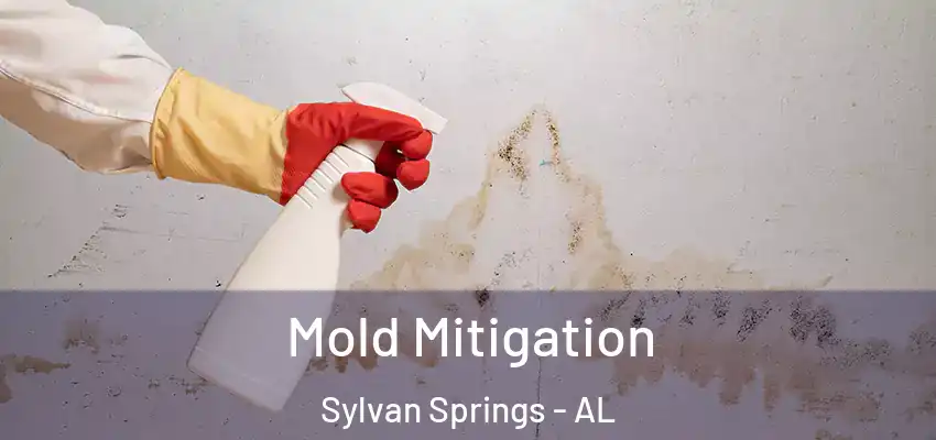  Mold Mitigation Sylvan Springs - AL