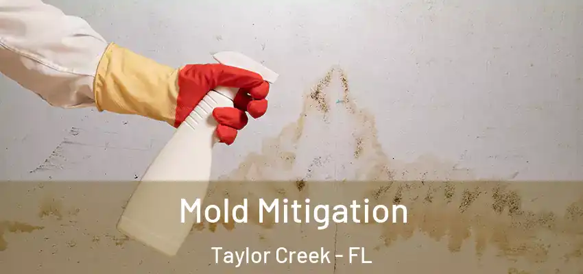  Mold Mitigation Taylor Creek - FL