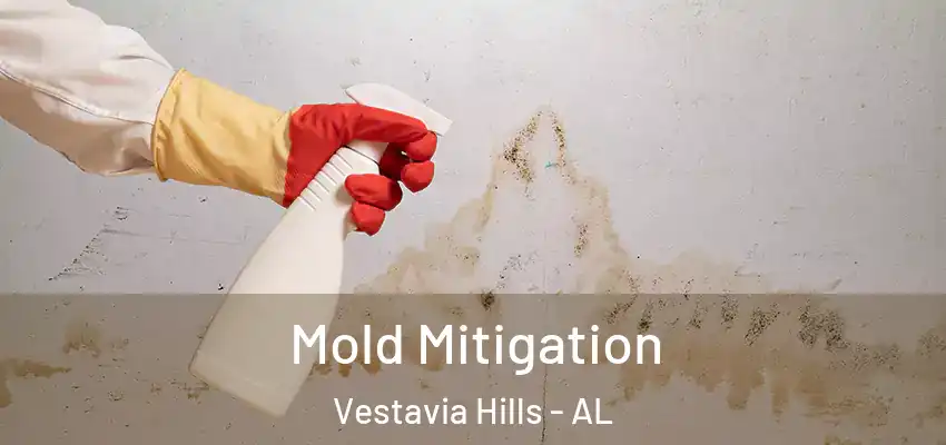  Mold Mitigation Vestavia Hills - AL