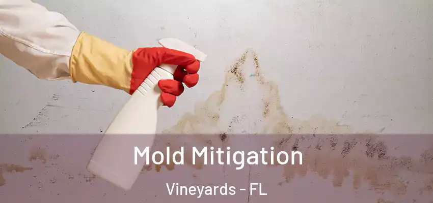  Mold Mitigation Vineyards - FL