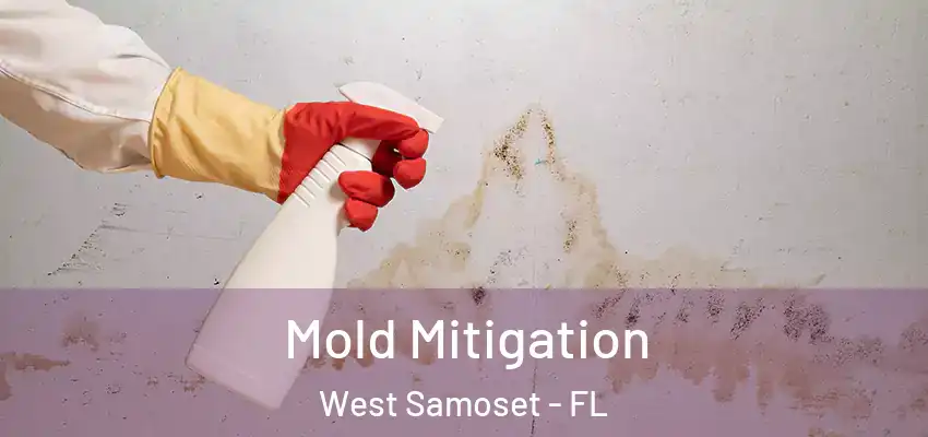  Mold Mitigation West Samoset - FL