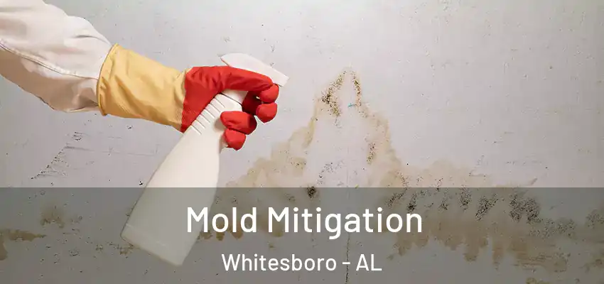  Mold Mitigation Whitesboro - AL