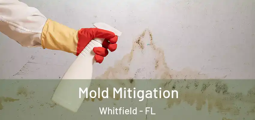  Mold Mitigation Whitfield - FL