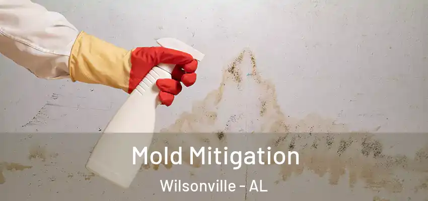  Mold Mitigation Wilsonville - AL