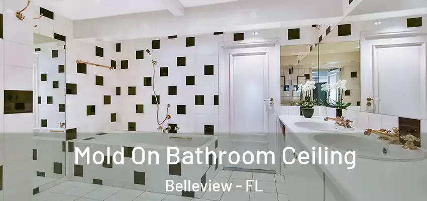  Mold On Bathroom Ceiling Belleview - FL