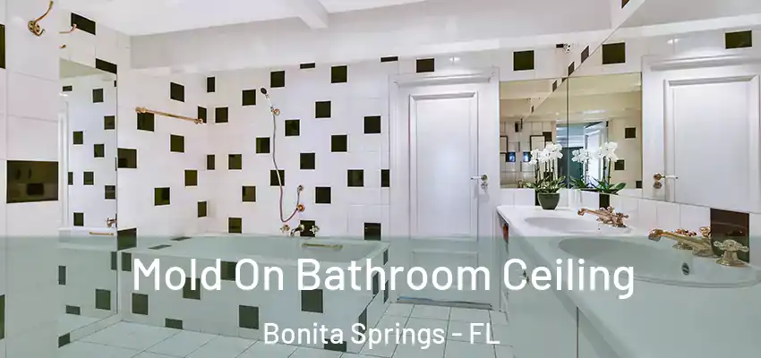  Mold On Bathroom Ceiling Bonita Springs - FL