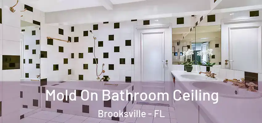  Mold On Bathroom Ceiling Brooksville - FL