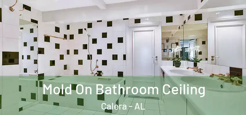  Mold On Bathroom Ceiling Calera - AL