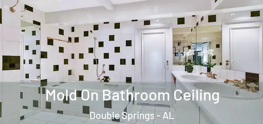 Mold On Bathroom Ceiling Double Springs - AL