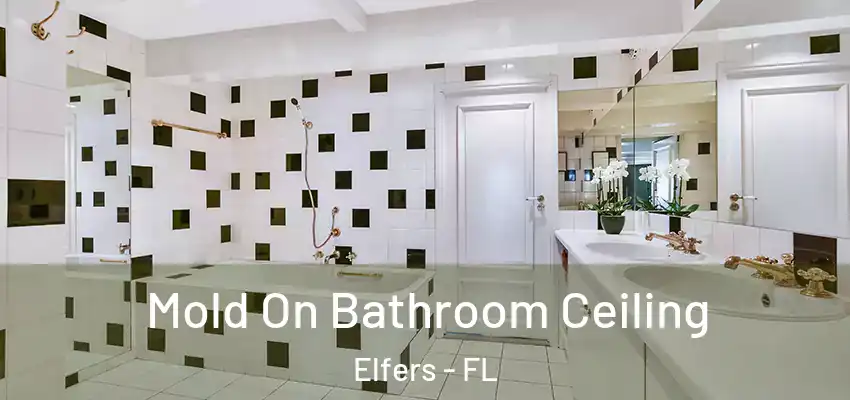  Mold On Bathroom Ceiling Elfers - FL