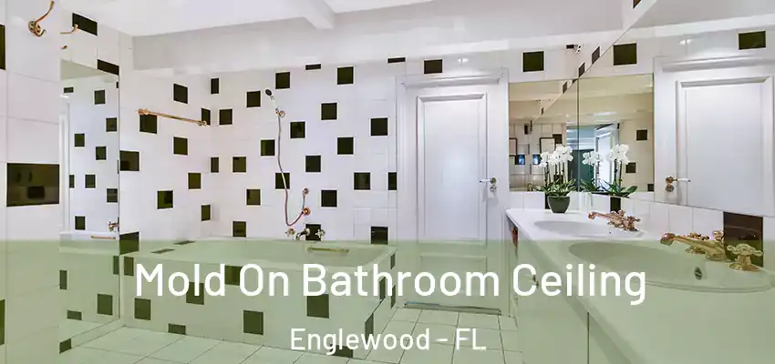  Mold On Bathroom Ceiling Englewood - FL