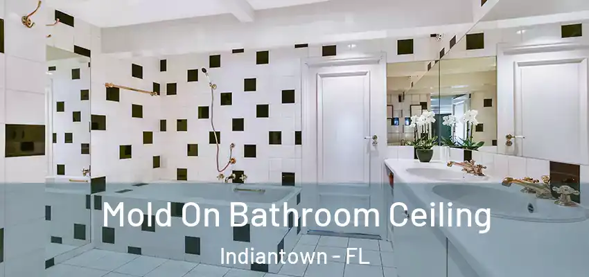  Mold On Bathroom Ceiling Indiantown - FL