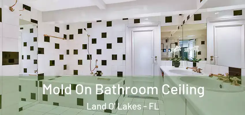 Mold On Bathroom Ceiling Land O' Lakes - FL