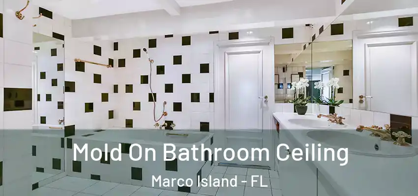 Mold On Bathroom Ceiling Marco Island - FL