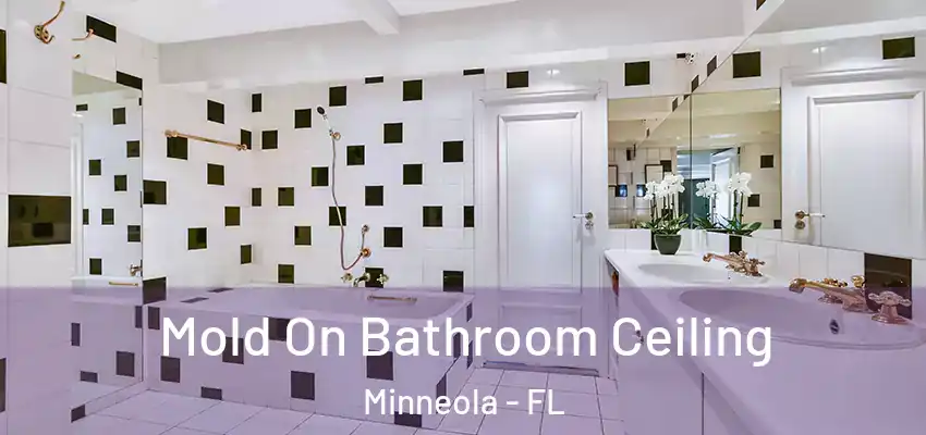 Mold On Bathroom Ceiling Minneola - FL