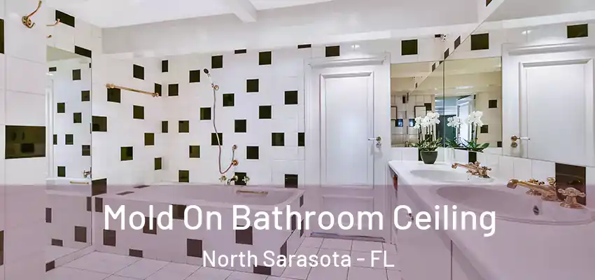  Mold On Bathroom Ceiling North Sarasota - FL