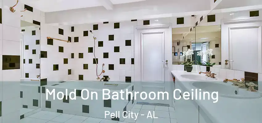 Mold On Bathroom Ceiling Pell City - AL