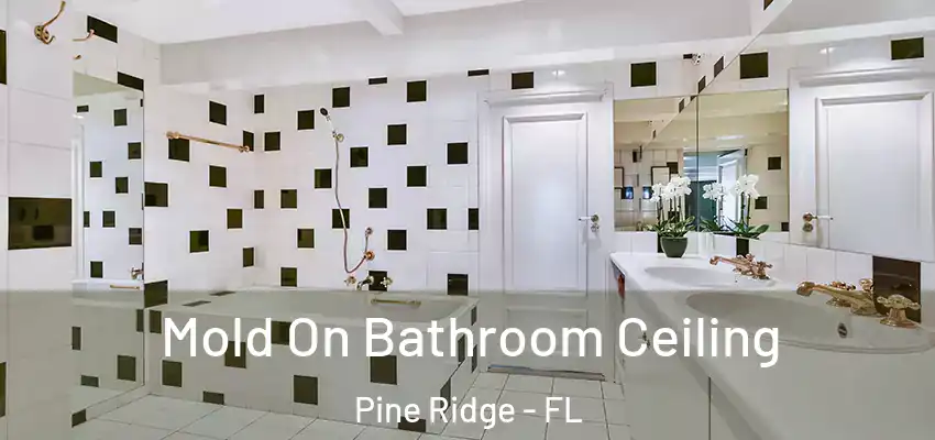  Mold On Bathroom Ceiling Pine Ridge - FL